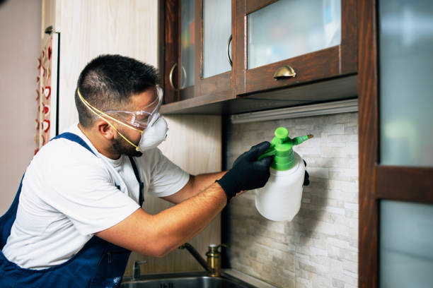 Best Spider Control Near Me  in San Dimas, CA