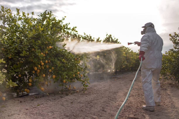 Professional Pest Control in San Dimas, CA