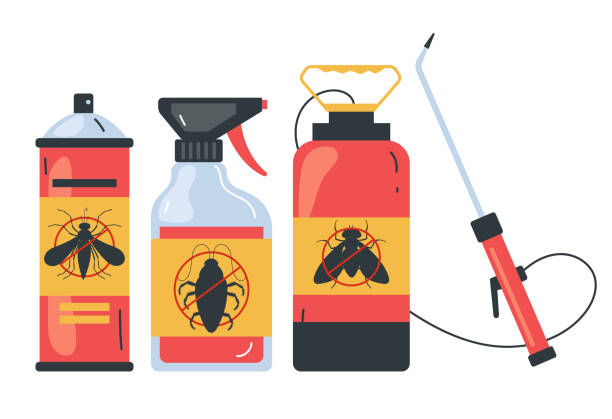 Best Termite Control Services  in San Dimas, CA