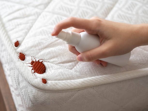 Best Residential Pest Control  in San Dimas, CA